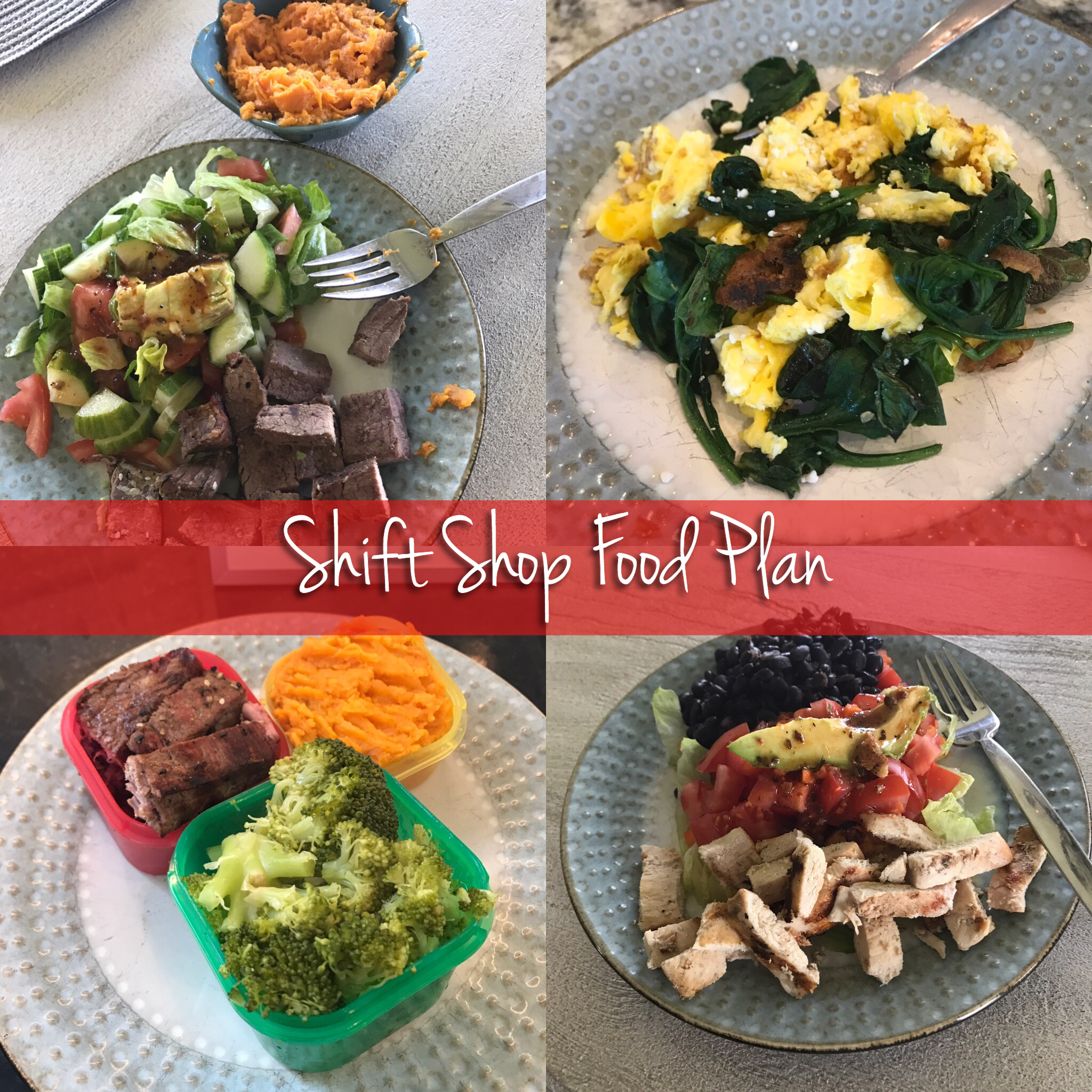 Shift Shop Nutrition Plan, Melanie Mitro, Top Coach, Coach Test Group, Food