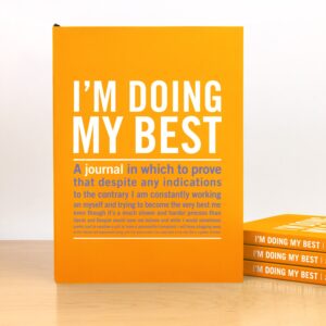 I am doing my best journal, gratitude, morning routine, melanie mitro