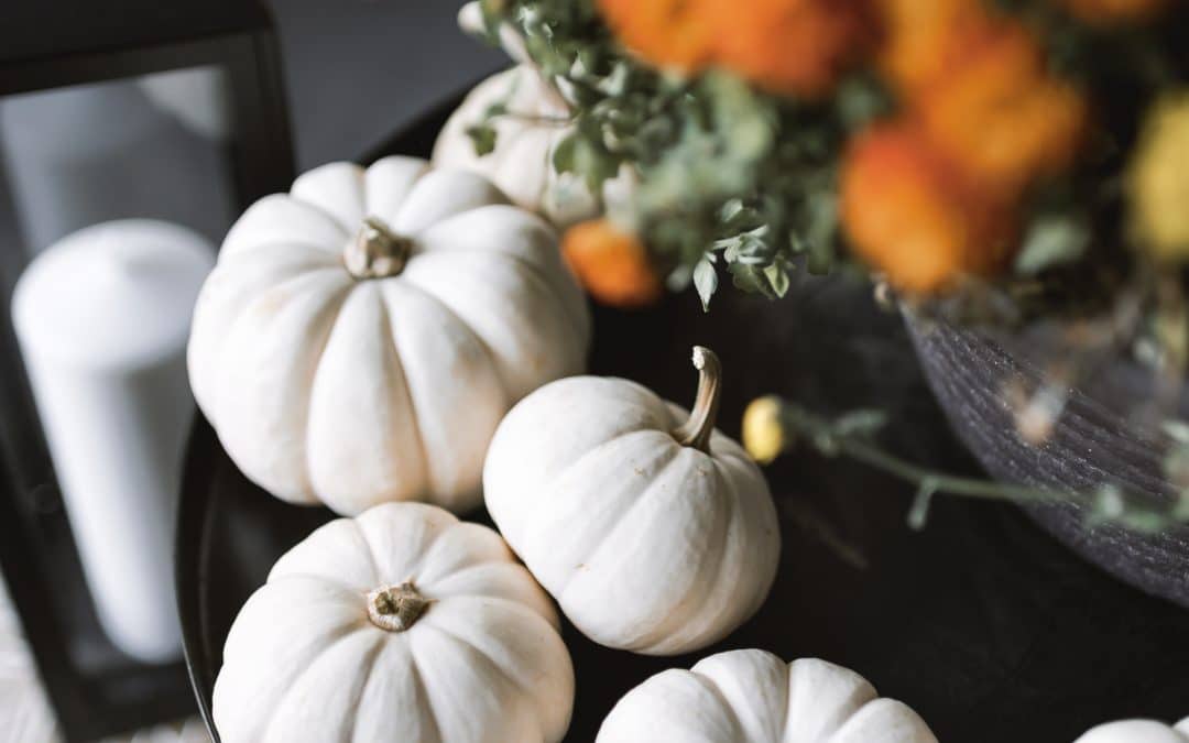 My Top Halloween Survival Tips